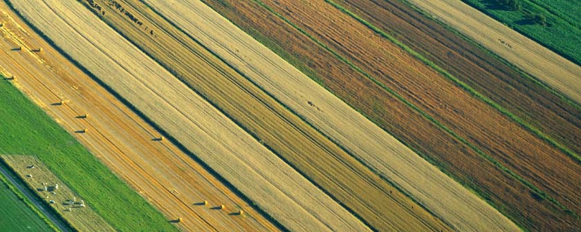 Vaste choix de photos originales enrichi régulièrement