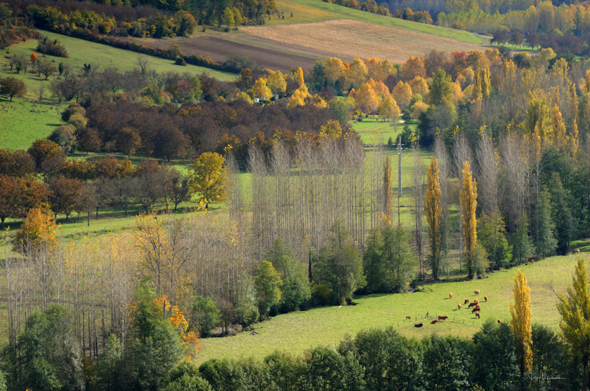 Automne en Périgord