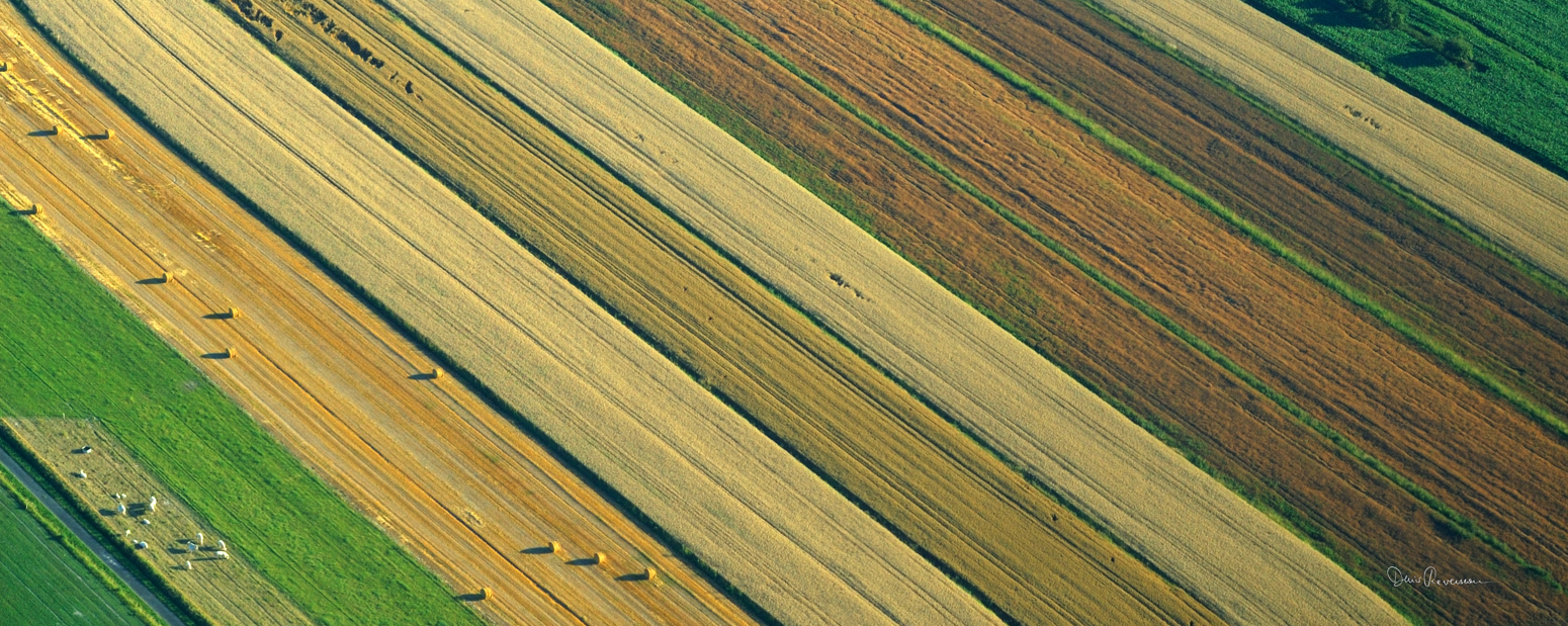 Campagne bretonne