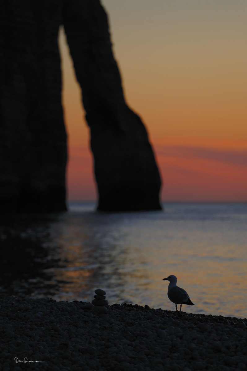 Crépuscule Etretat