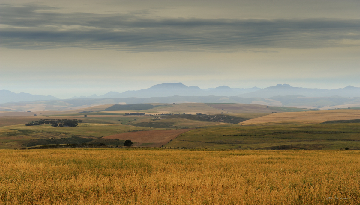 Afrique du Sud