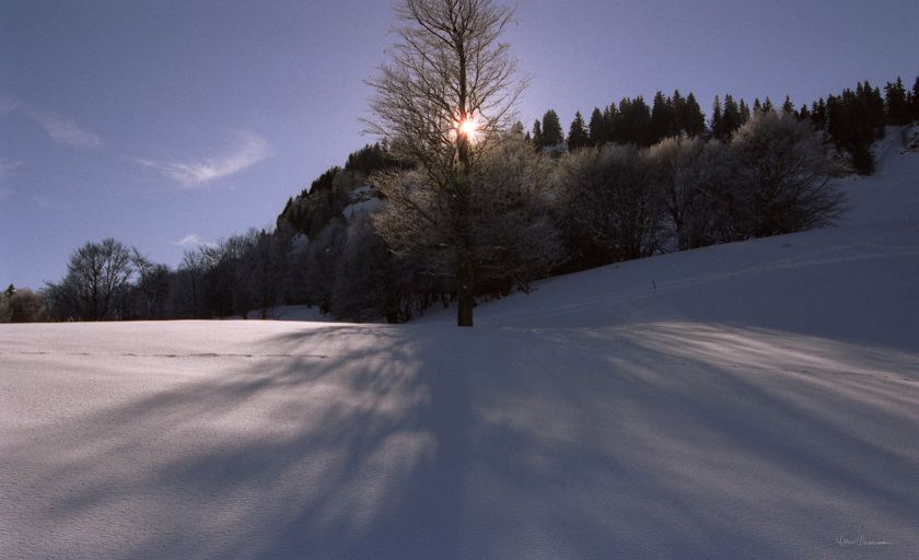 Plateau de la Molière