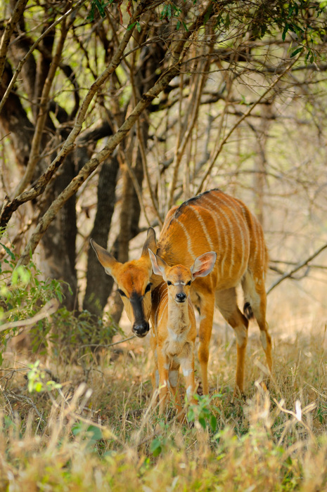 diaporama Kudus