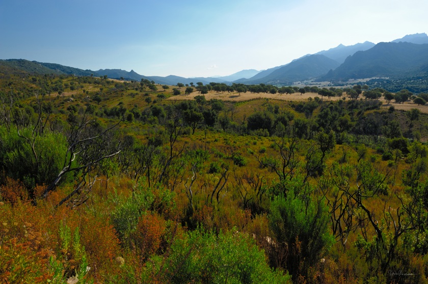 diaporama Paysage Corse