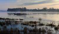 Légère brume sur la Loire