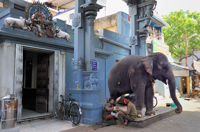 Temple Sri Manakula Vinayagar à Pondichéry