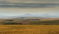 Campagne près de Caledon, Afrique du Sud