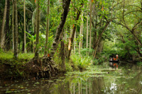 Back Waters, Kerala