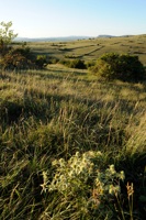 Plateau du Larzac